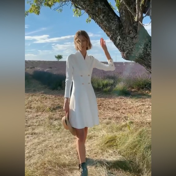 Dolcetto Knit Blazer Dress With Waistline - Picture 6 of 11